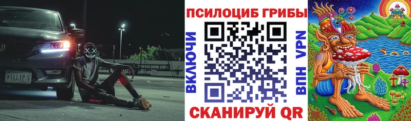 Галлюциногенные грибы мицелий  где можно купить   Черняховск 