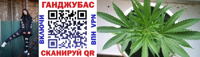 Канабис план Черняховск